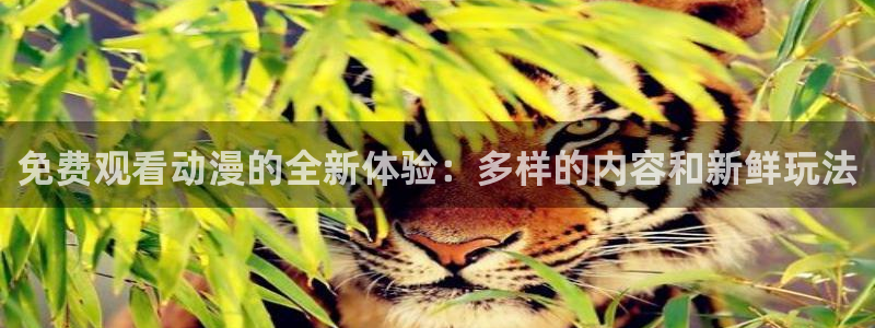 风车动漫官网下载：免费观看动漫的全新体验：多样的内容和新鲜玩法