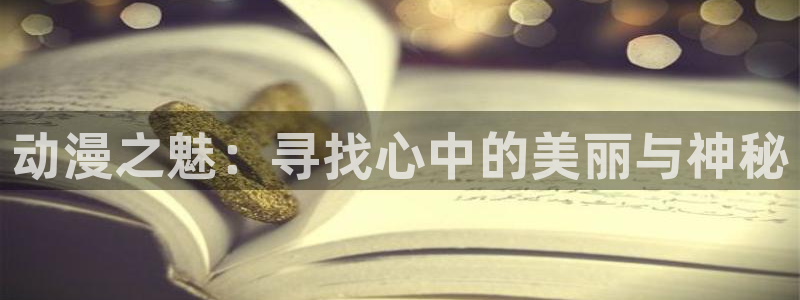 风车动漫肉