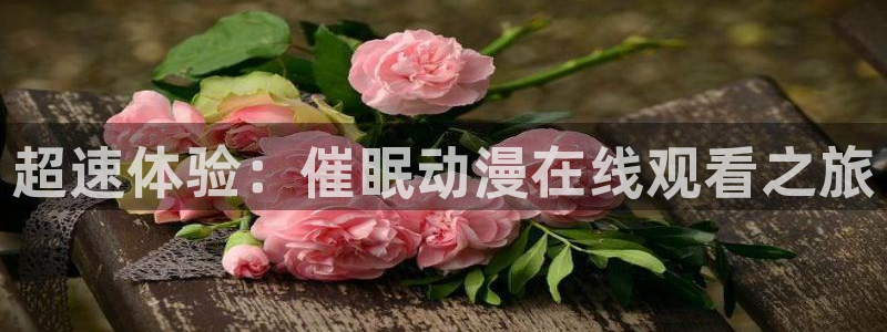 风车动漫网站(p)：超速体验：催眠动漫在线观看之旅