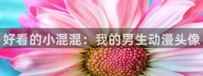 风车动漫网在线看：好看的小混混：我的男生动漫头像