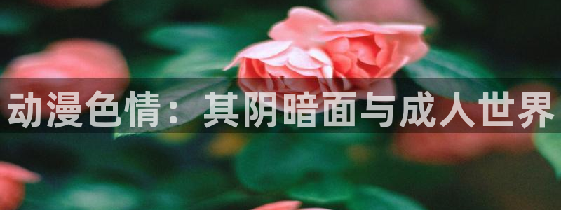 风车动漫动漫官网在线观看：动漫色情：其阴暗面与成人世界
