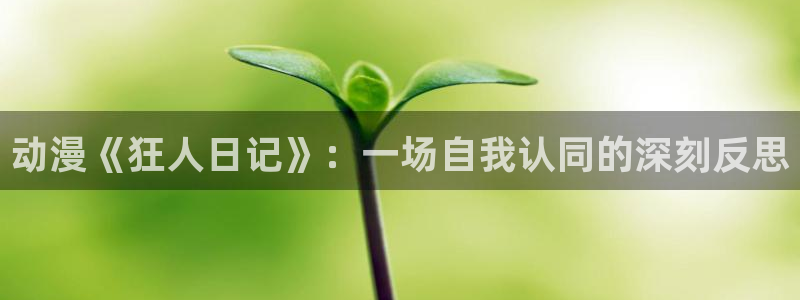 风车动漫dm350：动漫《狂人日记》：一场自我认同的深刻反思