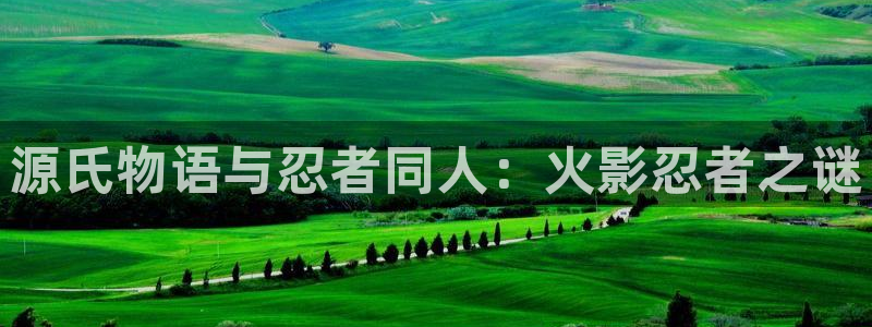 风车动漫_专注：源氏物语与忍者同人：火影忍者之谜