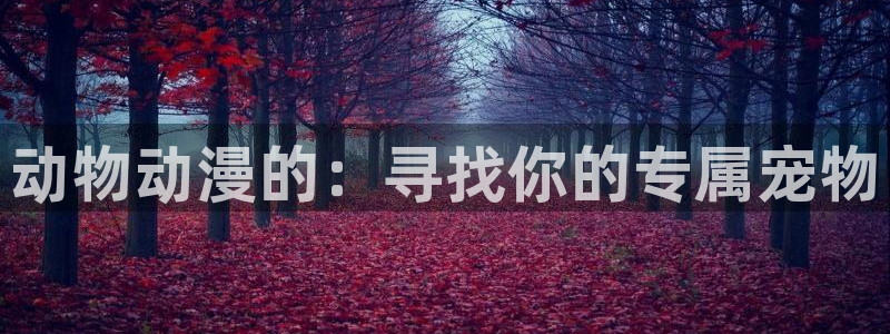 风车动漫官网动漫