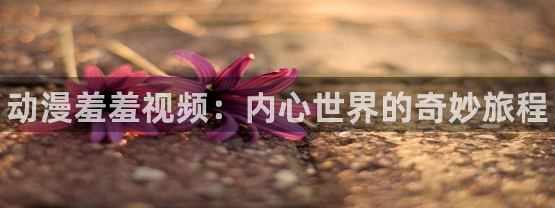 风车动漫下载版