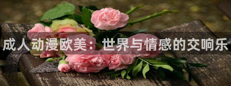 风车动漫官网在线看：成人动漫欧美：世界与情感的交响乐