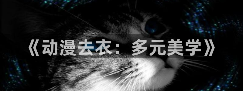风车动漫(p)免费官网：《动漫去衣：多元美学》
