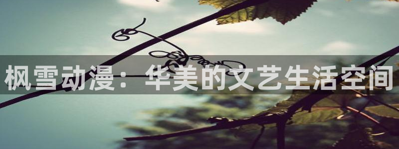 www.风车动漫：枫雪动漫：华美的文艺生活空间