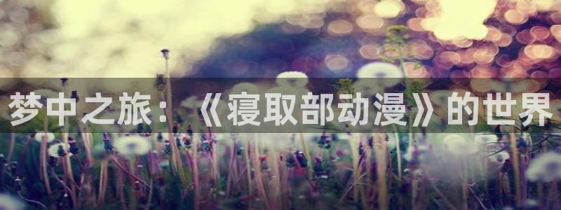 风车动漫网入口