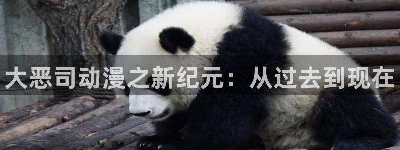 风车动漫专注的门户网站：大恶司动漫之新纪元：从过去到现在