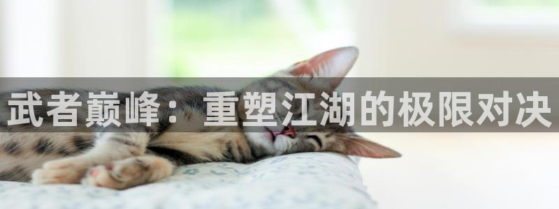 风车动漫网530：武者巅峰：重塑江湖的极限对决