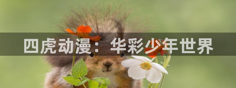 风车动漫正版官网：四虎动漫：华彩少年世界