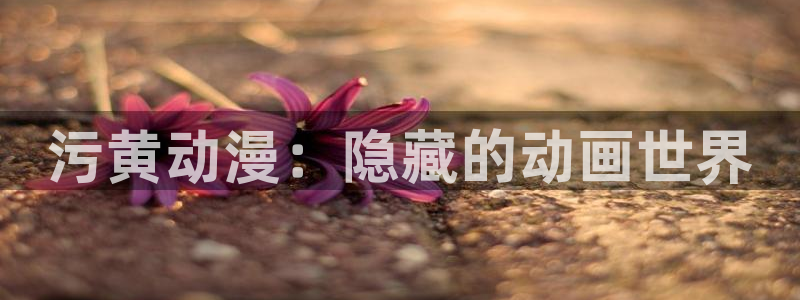风车动漫网站：污黄动漫：隐藏的动画世界