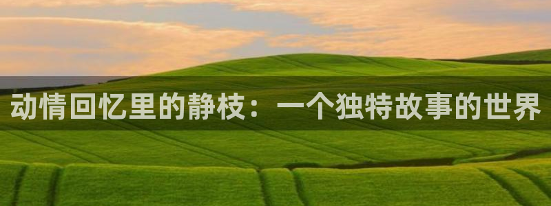 大王饶命风车动漫：动情回忆里的静枝：一个独特故事的世界