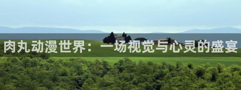 风车动漫在线高清：肉丸动漫世界：一场视觉与心灵的盛宴