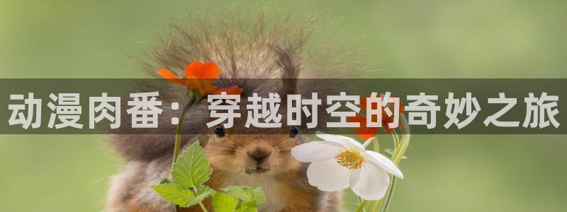 风车动漫新番：动漫肉番：穿越时空的奇妙之旅