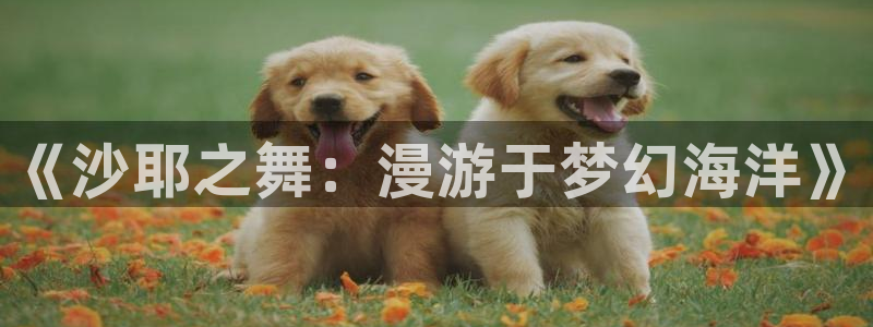 死神在线观看风车动漫