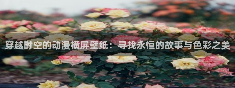 风车动漫漫