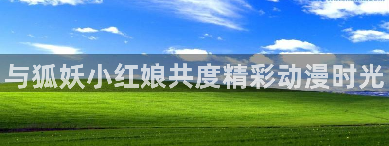 噬血狂袭风车动漫