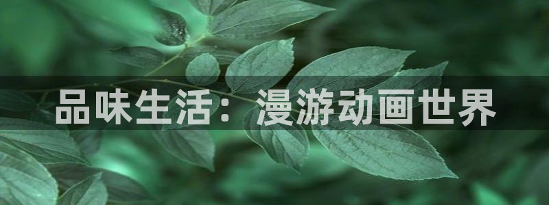 xl上司风车动漫：品味生活：漫游动画世界