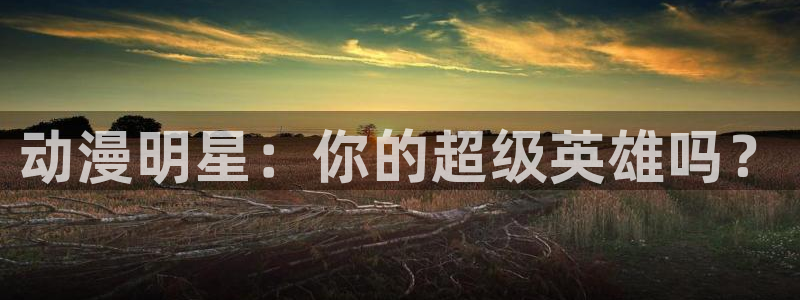 风车动漫网6：动漫明星：你的超级英雄吗？