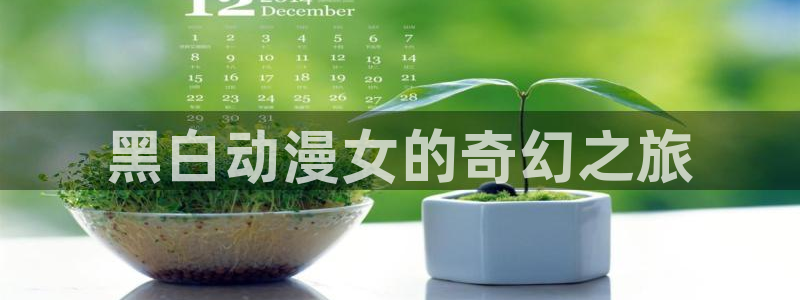 风车动漫 - 专注动漫的门户：黑白动漫女的奇幻之旅