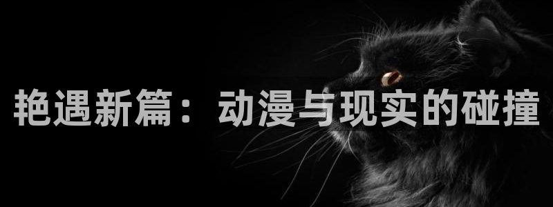 从零开始的异世界生活 风车动漫：艳遇新篇：动漫与现实的碰撞