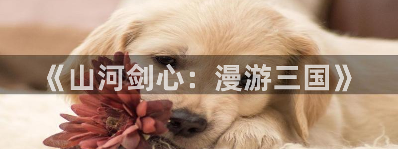 风车动漫 网